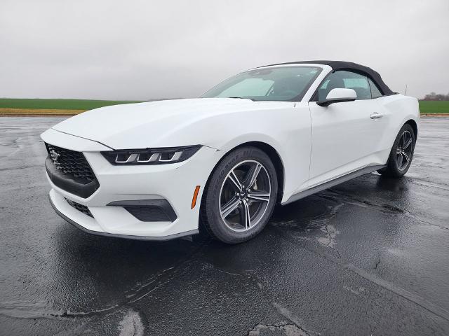 2024 Ford Mustang EcoBoost Premium Convertible for sale in Watseka, IL