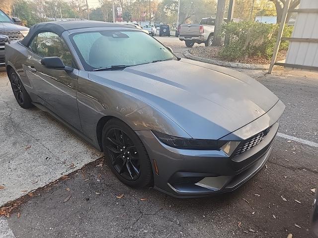 2025 Ford Mustang EcoBoost Convertible for sale in Jacksonville, FL