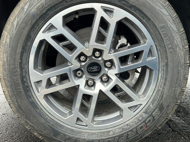 2026 Ford Expedition Max Active MAX