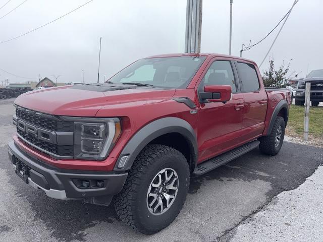 2023 Ford F-150 Raptor