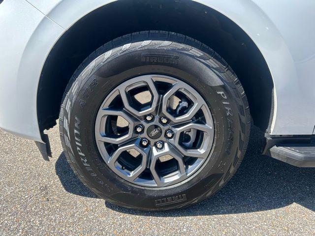 2025 Ford Expedition Active MAX