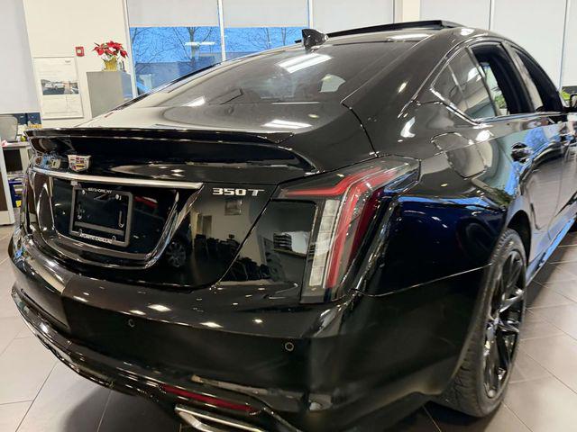 View vehicle photo 6