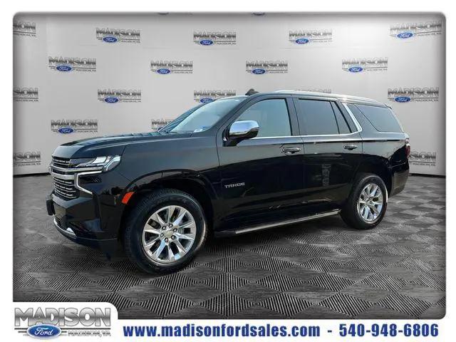 2024 Chevrolet Tahoe 4WD Premier for sale in Madison, VA