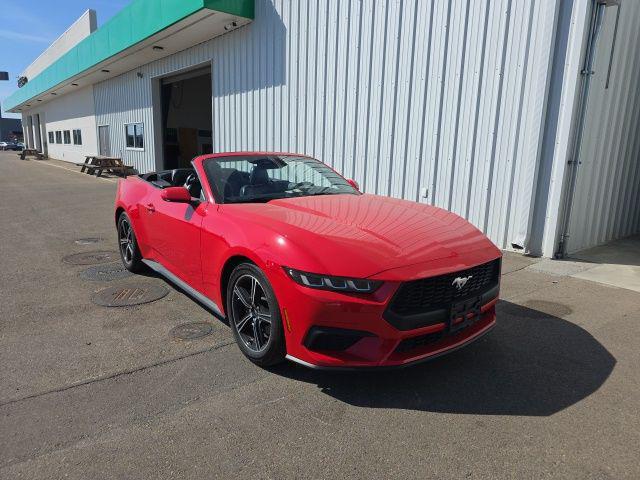 2025 Ford Mustang EcoBoost Premium Convertible for sale in Selma, CA