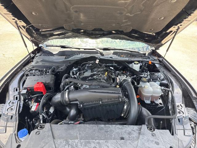 2024 Ford Mustang EcoBoost Premium Convertible