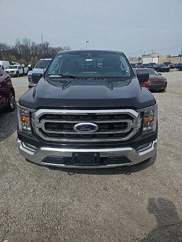2023 Ford F-150 XLT for sale in Bardstown, KY