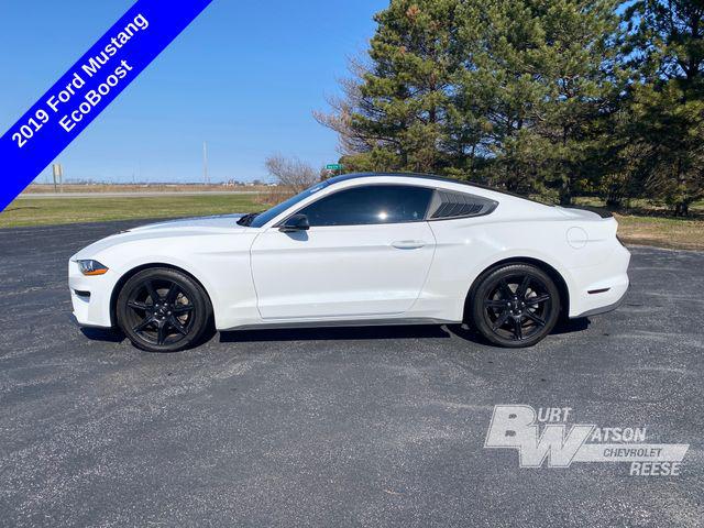 2019 Ford Mustang EcoBoost