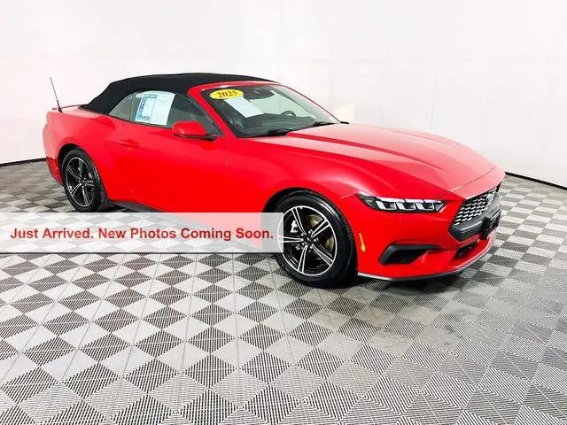 2025 Ford Mustang EcoBoost Premium Convertible for sale in Selma, CA