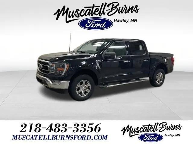 2023 Ford F-150 XLT for sale in Hawley, MN