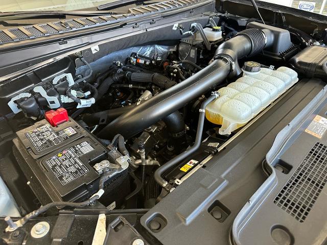 2025 Ford Expedition Active MAX