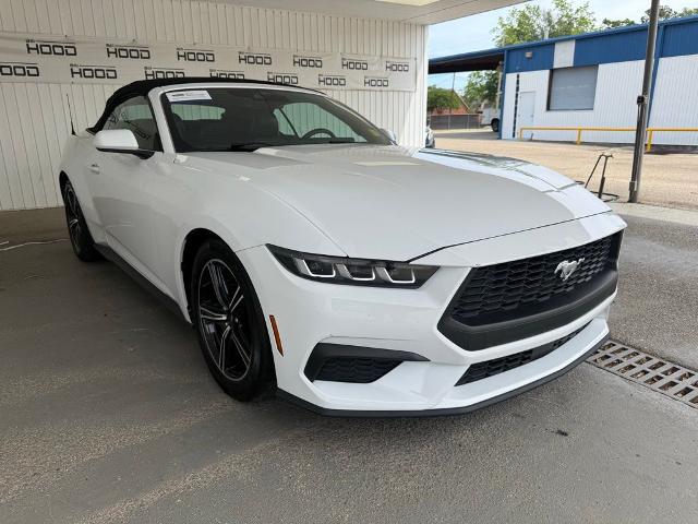 2024 Ford Mustang EcoBoost Premium Convertible for sale in Hammond, LA
