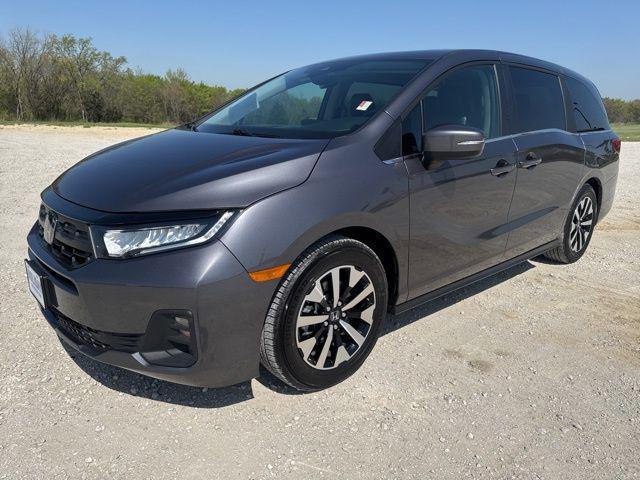 2025 Honda Odyssey EX-L for sale in Whitesboro, TX