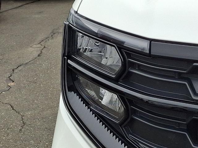 2025 Ford Expedition Active MAX