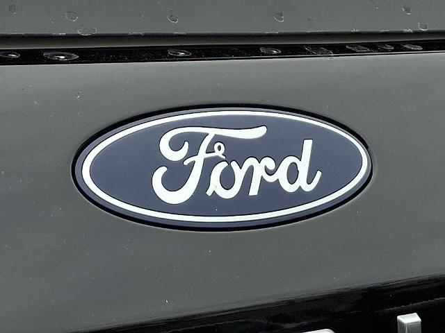 2025 Ford Expedition Active MAX