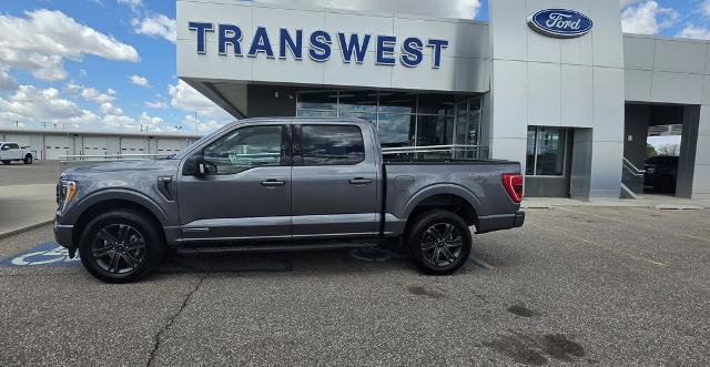 2023 Ford F-150 XLT