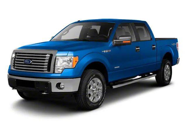 2010 Ford F-150 Platinum for sale in Evansville, IN