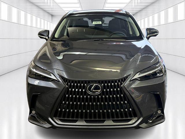 2026 Lexus NX Luxury