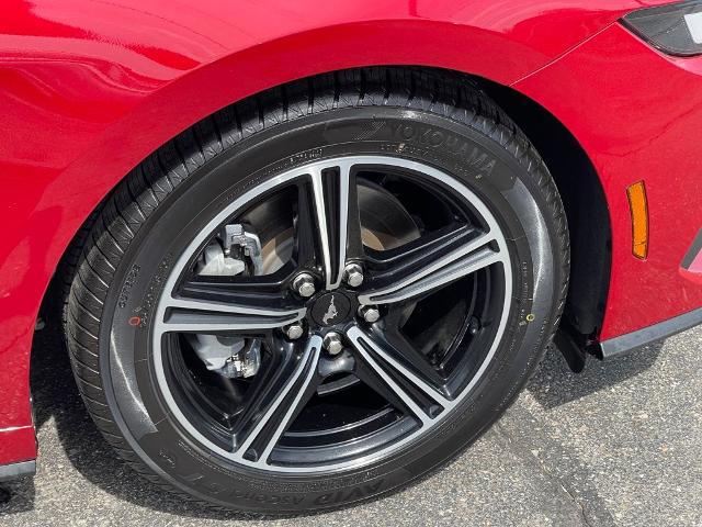 2024 Ford Mustang EcoBoost Premium Fastback