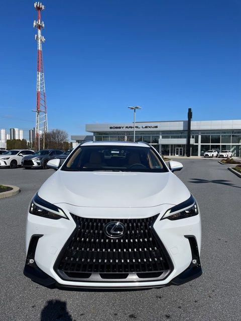 2026 Lexus NX Luxury