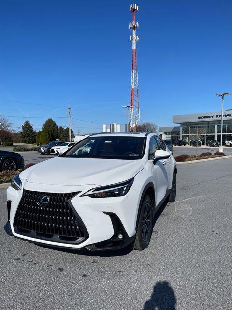 2026 Lexus NX Luxury
