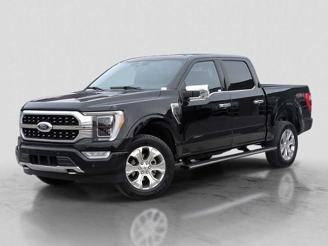 2023 Ford F-150 Platinum for sale in Washington, MI