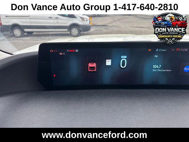 2025 Ford Expedition Active MAX
