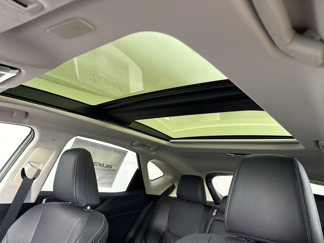 2026 Lexus NX Luxury