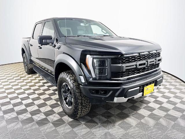 2023 Ford F-150 Raptor for sale in Bangor, ME