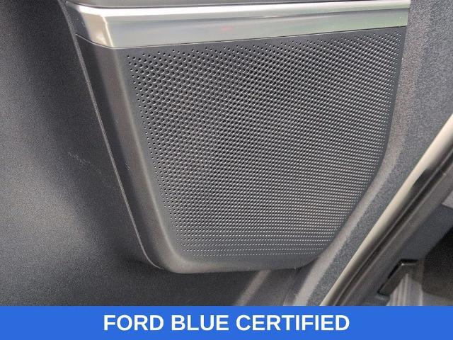 2025 Ford Expedition Active MAX