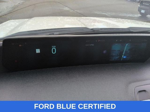 2025 Ford Expedition Active MAX