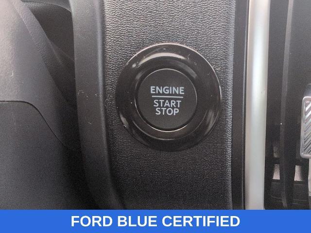 2025 Ford Expedition Active MAX