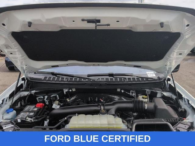 2025 Ford Expedition Active MAX