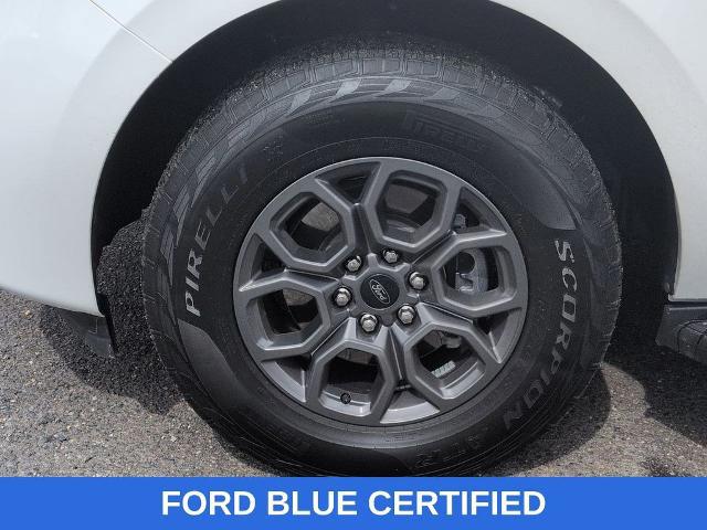 2025 Ford Expedition Active MAX
