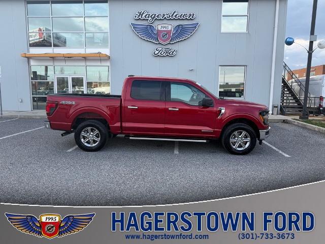 2025 Ford F-150 XLT for sale in Hagerstown, MD