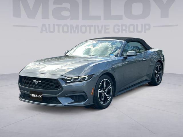 2024 Ford Mustang EcoBoost Premium Convertible for sale in Winchester, VA
