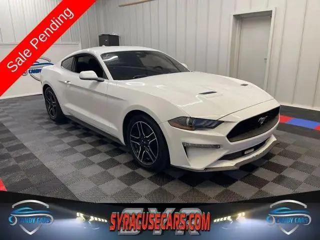 2021 Ford Mustang EcoBoost Fastback for sale in Syracuse, NY