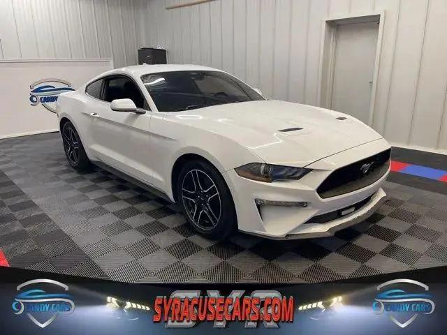 2021 Ford Mustang EcoBoost Fastback for sale in Syracuse, NY