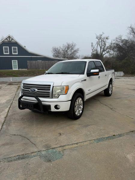 2011 Ford F-150 Platinum for sale in Vidalia, GA