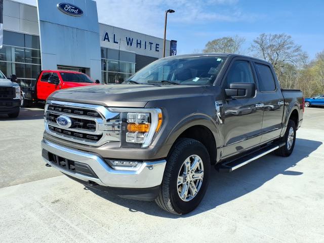 2023 Ford F-150 XLT for sale in Manchester, TN