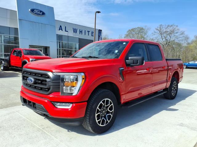 2023 Ford F-150 XLT for sale in Manchester, TN