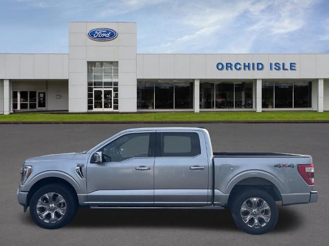 2023 Ford F-150 Platinum for sale in Hilo, HI
