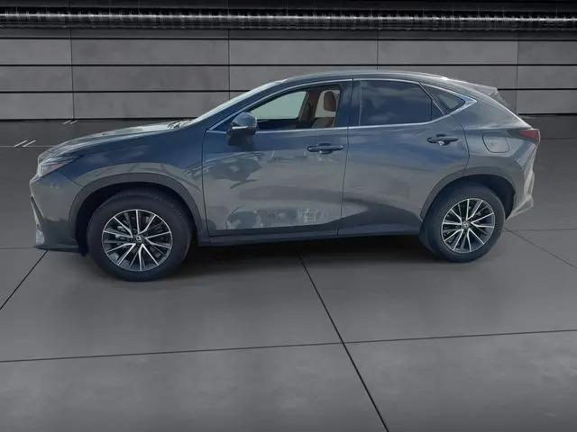 2025 Lexus NX Premium