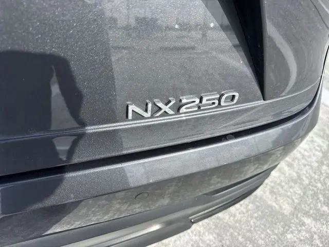 2025 Lexus NX Premium