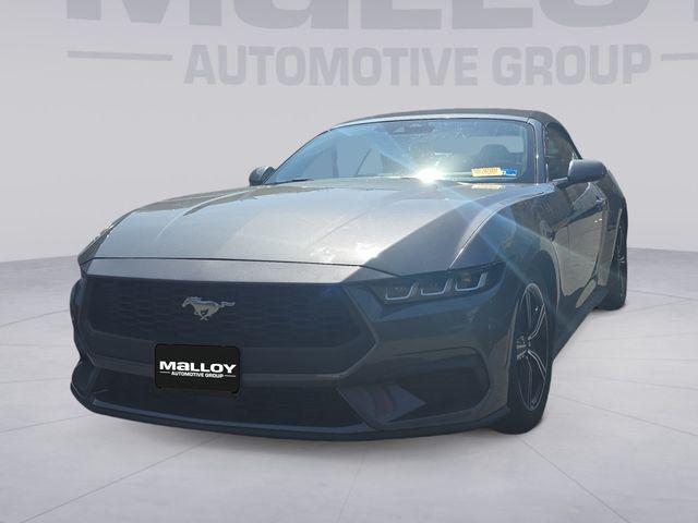 2024 Ford Mustang EcoBoost Premium Convertible for sale in Charlottesville, VA