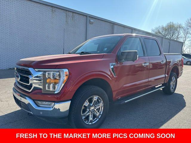 2023 Ford F-150 XLT for sale in Union City, TN