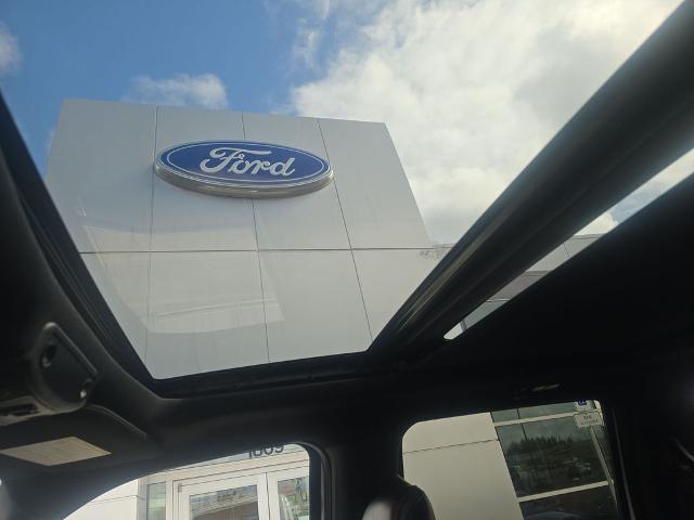 2017 Ford F-250 Platinum