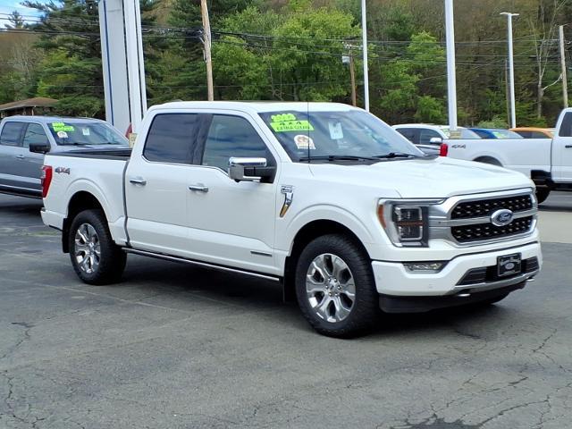 2023 Ford F-150 Platinum for sale in Honesdale, PA