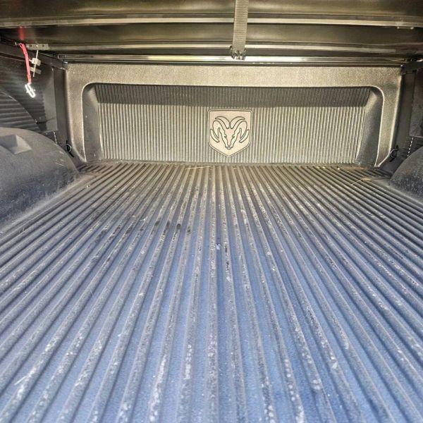 2010 Dodge Ram 1500 SLT/Sport/TRX
