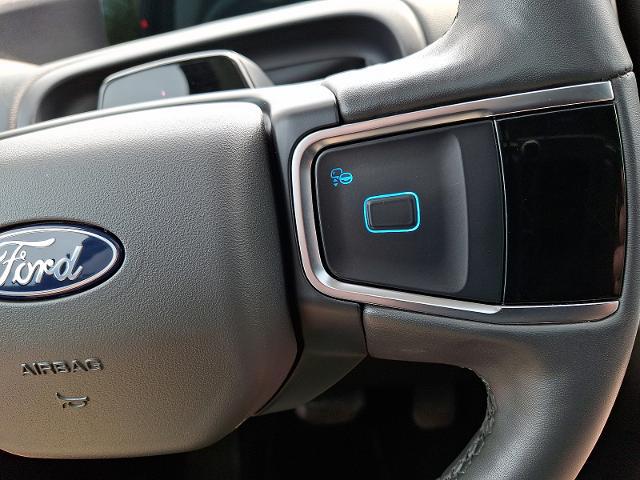 2025 Ford Expedition Active MAX
