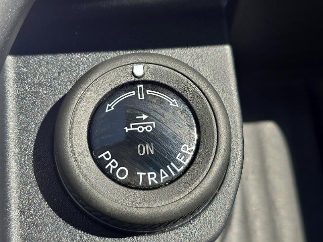 2025 Ford Expedition Active MAX